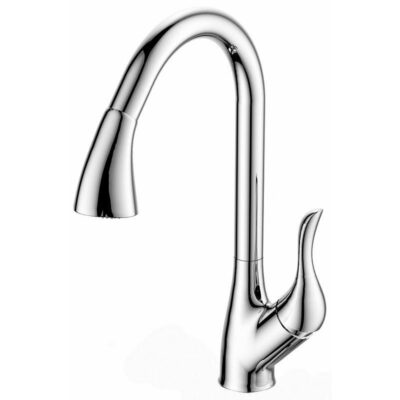 DR BRASS Kitchen Sink Mixer Pull Out 360 Swivel Spout Faucet Glossy